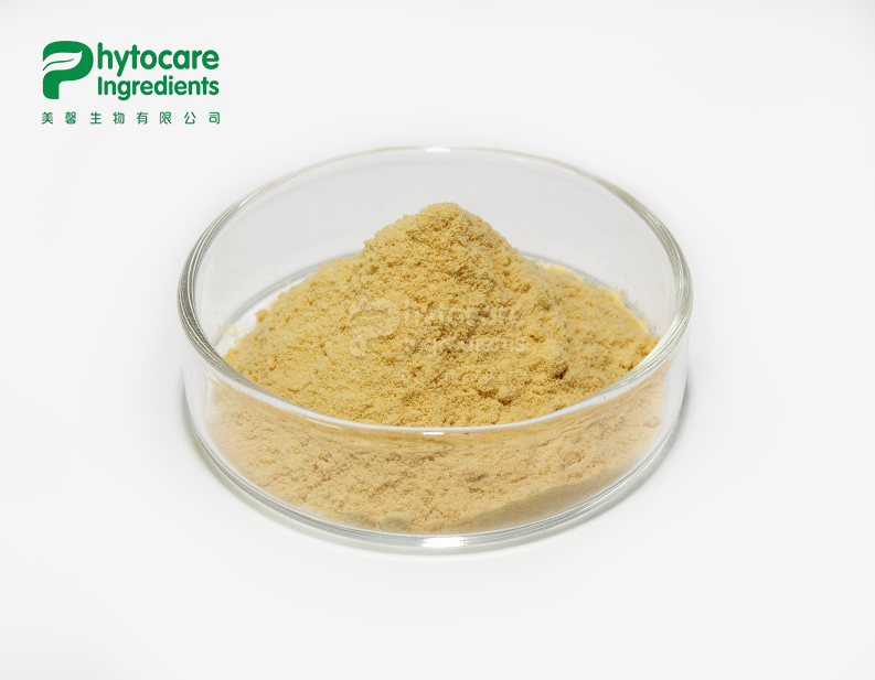 Ginseng Extract Powder